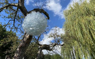 Die Atemblume • Eine Übung aus dem Qi Gong